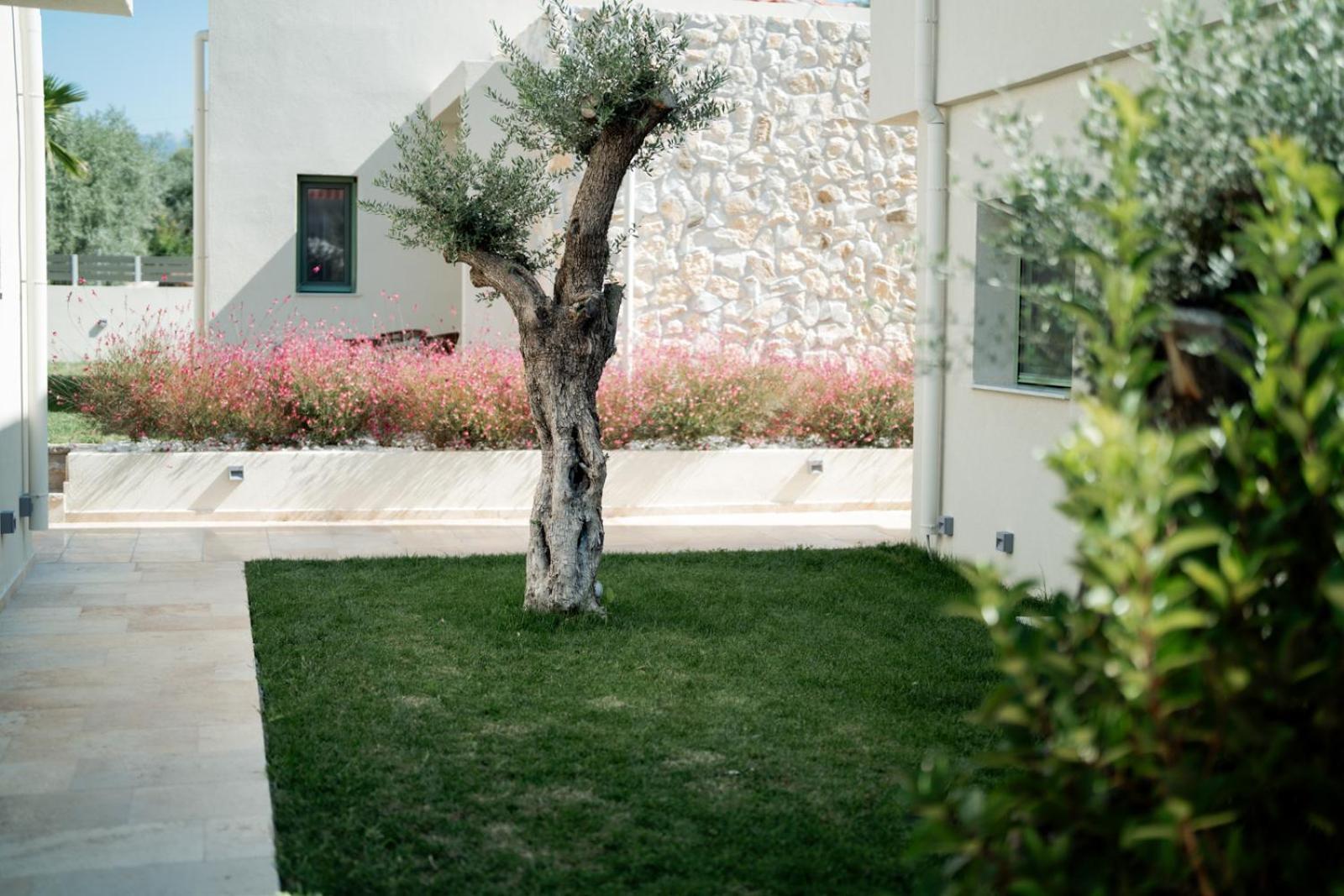 Magnolia Villas Potos Thassos Экстерьер фото